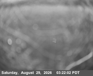 SR-299: Lord Ellis - East live camera view