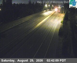 SR-1 : East of Morrissey Blvd live camera view