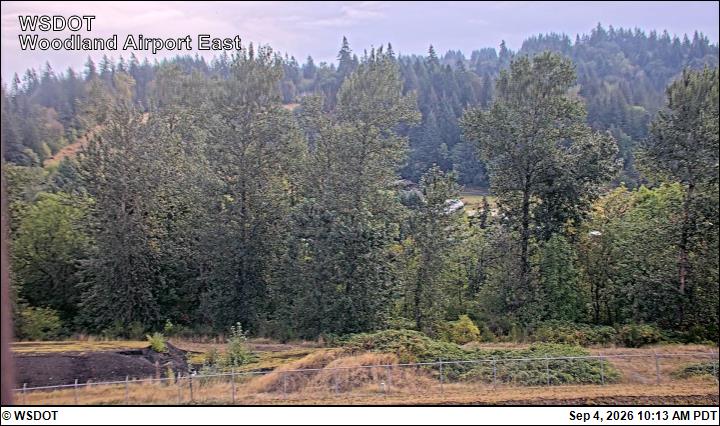 Woodland East live camera view