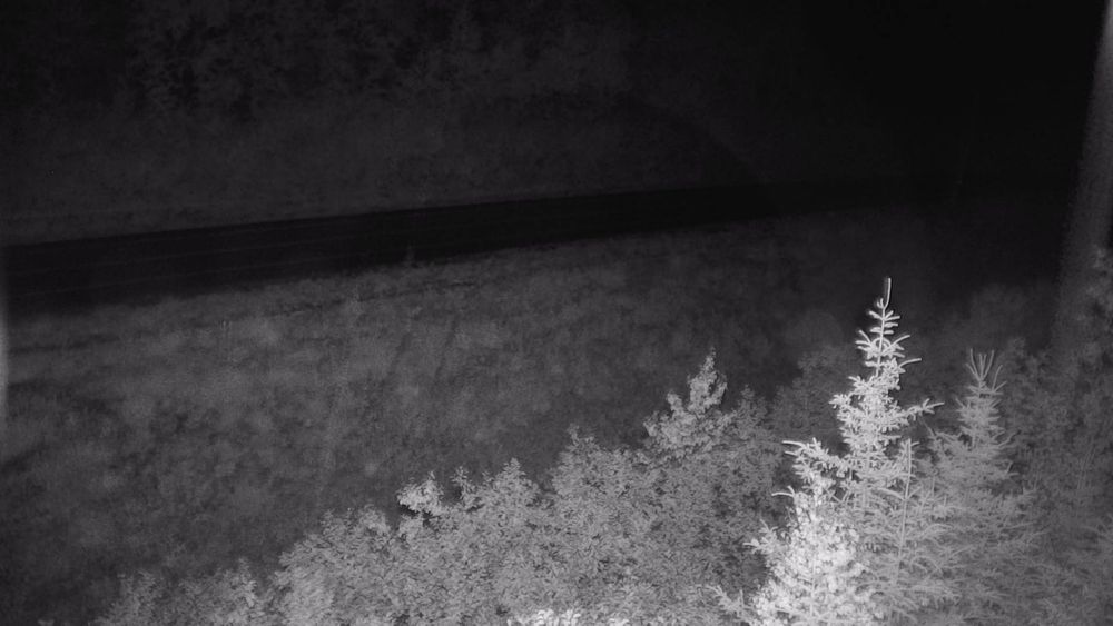 Richardson Highway @ Sheep Creek MP 18.6 live camera view