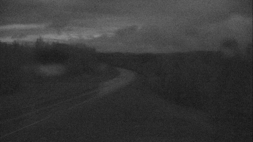 Richardson Highway @ Birch Lake MP 307.2 live camera view