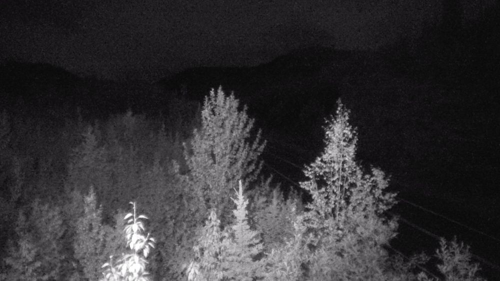 Tok Cutoff @ Mentasta Pass MP 79.2 live camera view