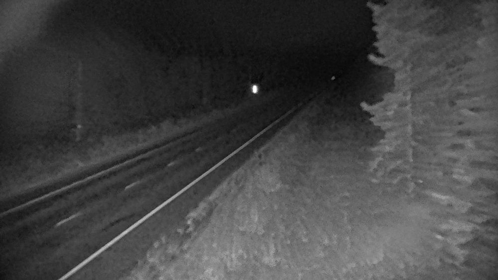 Alaska Highway @ Dot Lake MP 1355.2 live camera view