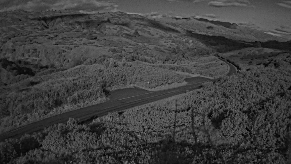 Pasagshak Road Kodiak @ MP 3.8 live camera view