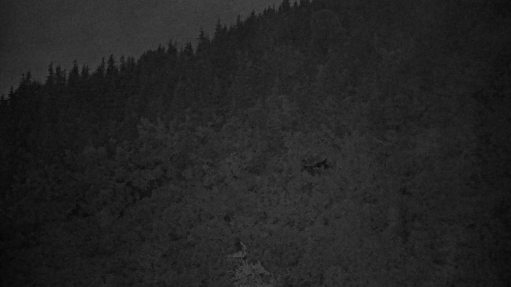 Richardson Highway @ Keystone Canyon MP 12.3 live camera view