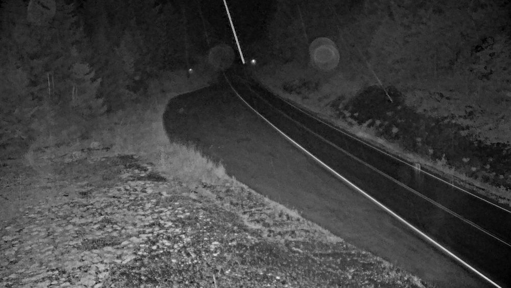 Klawock Hwy @ Control Lake live camera view