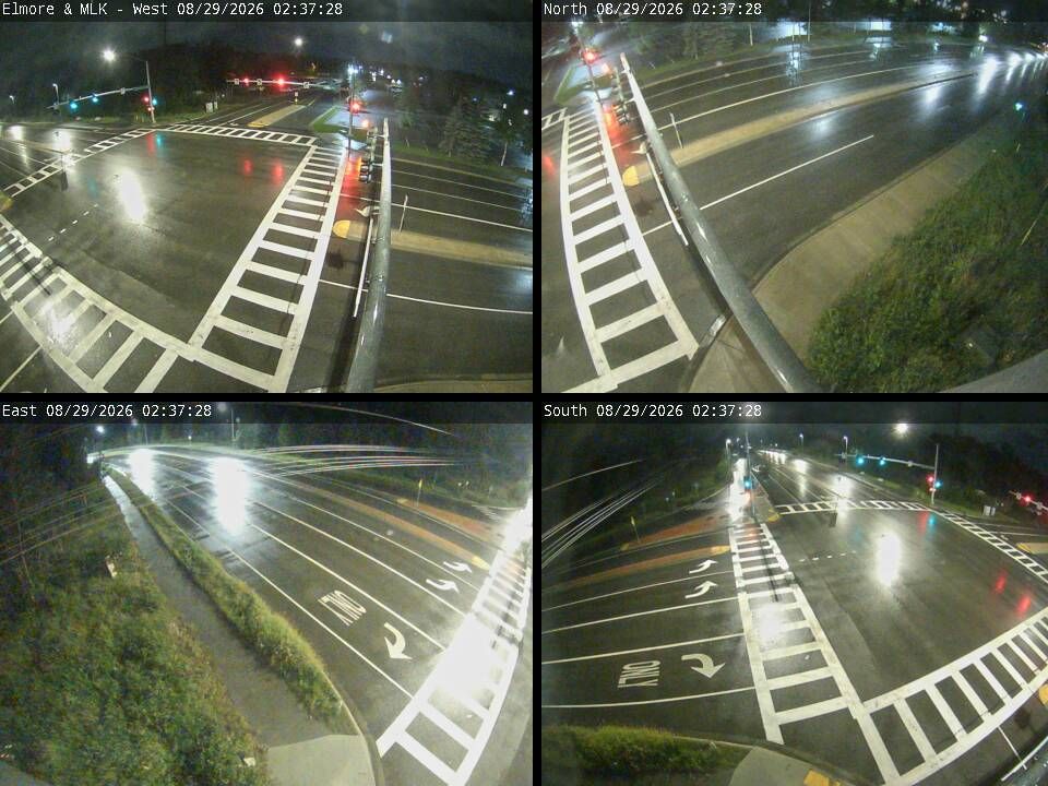 Elmore & MLK live camera view