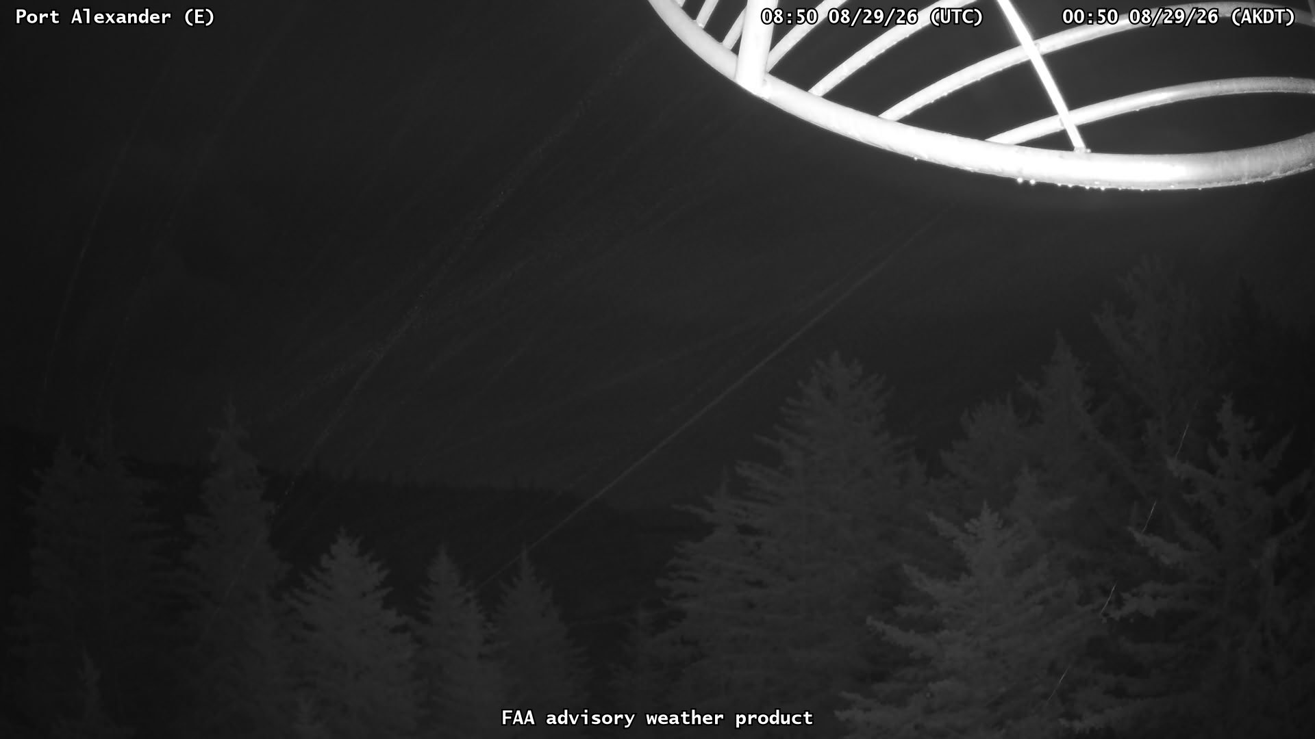 Port Alexander — East live camera view