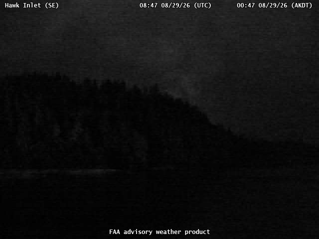 Hawk Inlet — SouthEast live camera view