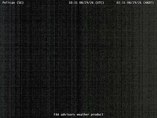 Pelican — SouthEast live camera view