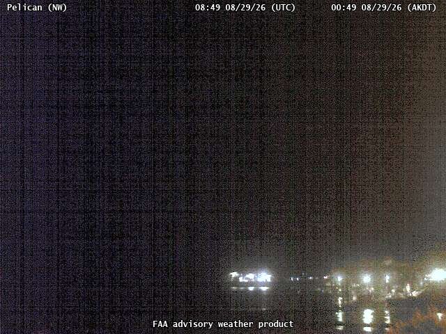 Pelican — NorthWest live camera view