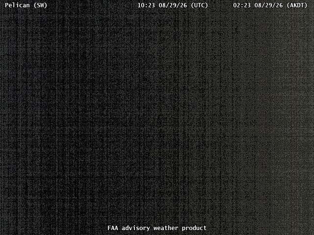 Pelican — SouthWest live camera view