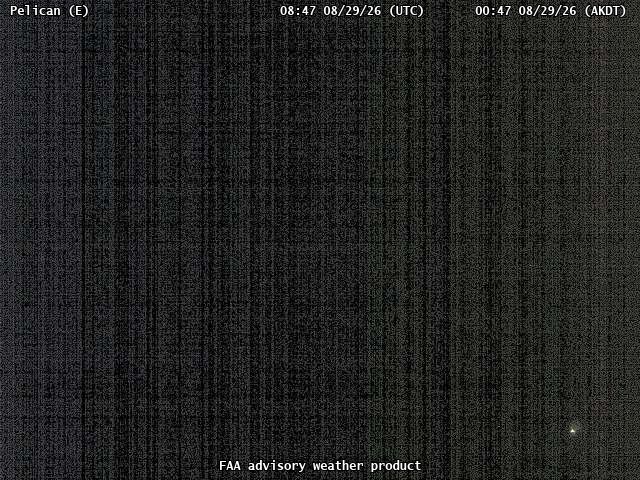 Pelican — East live camera view