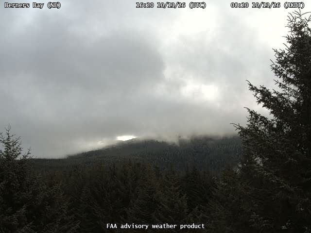 Berners Bay — NorthEast live camera view