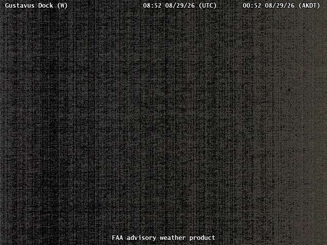 Gustavus Dock — West live camera view