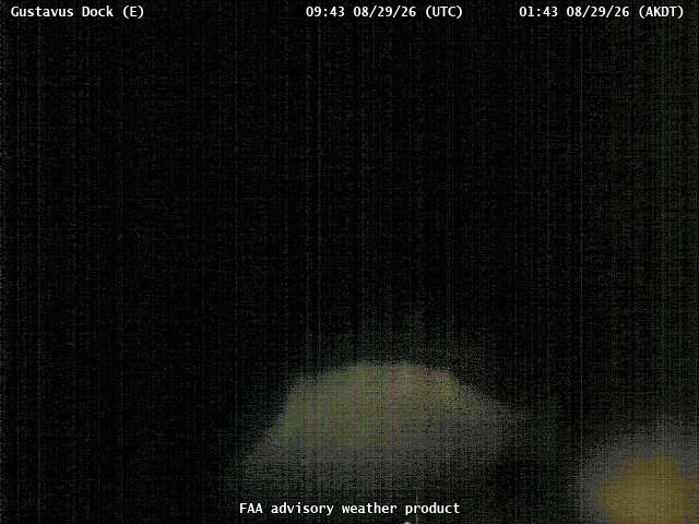 Gustavus Dock — East live camera view