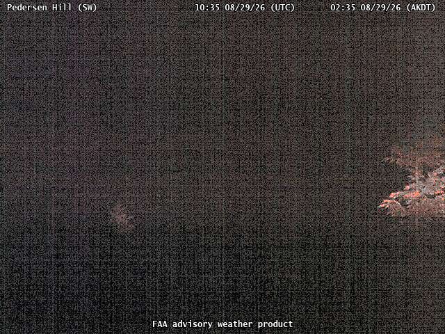 Pedersen Hill — SouthWest live camera view