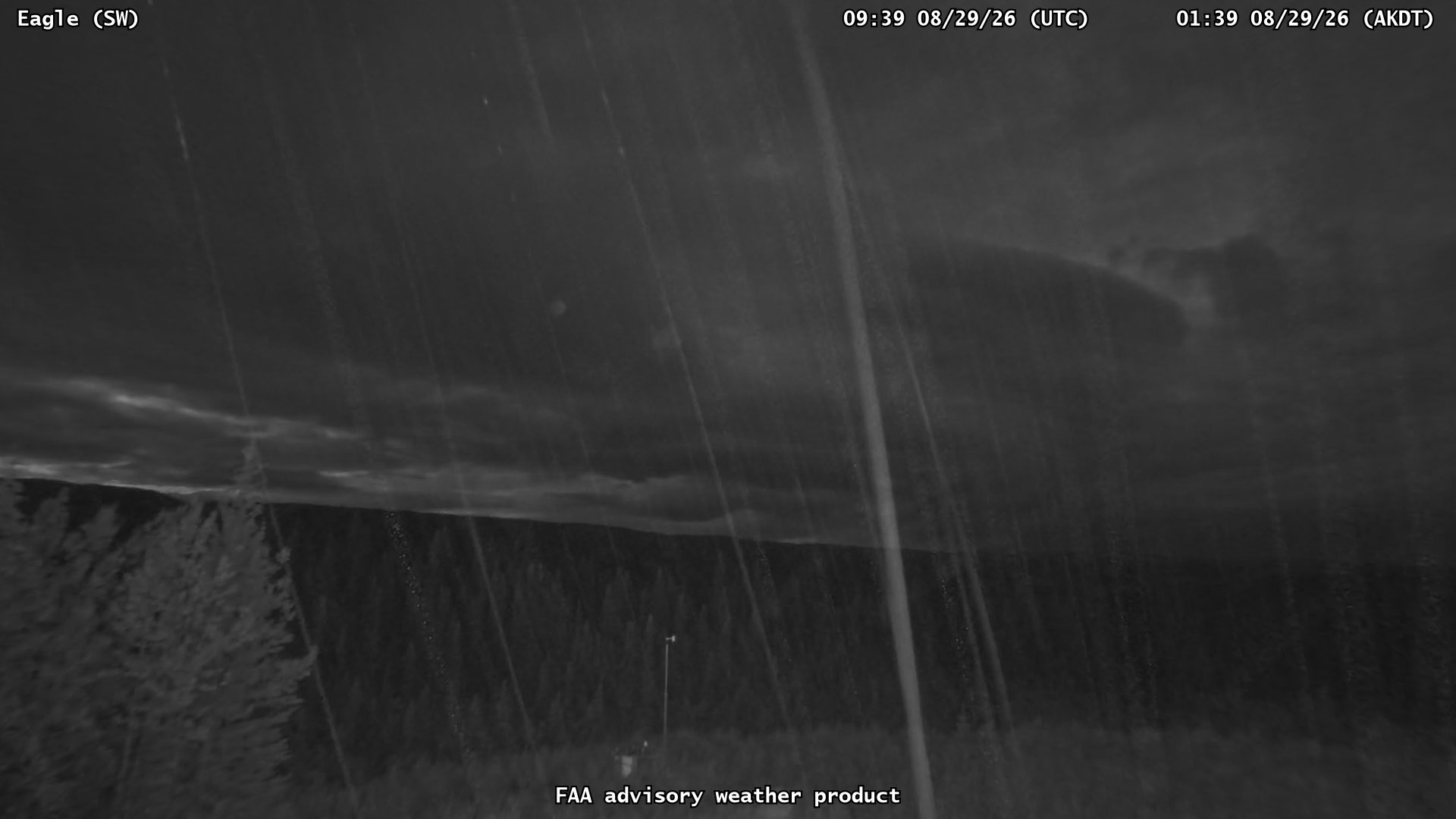 Eagle — SouthWest live camera view