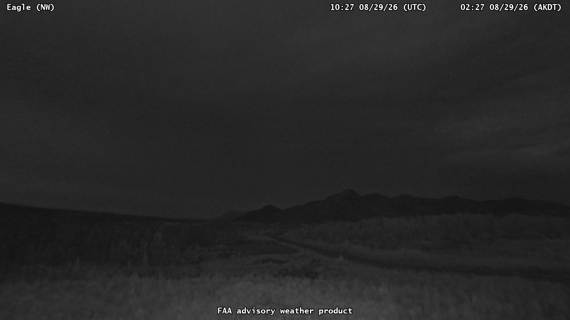Eagle — NorthWest live camera view