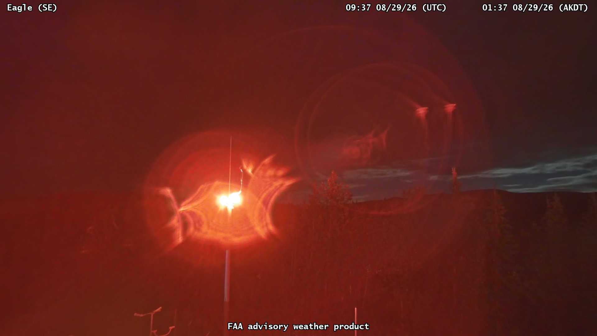 Eagle — SouthEast live camera view