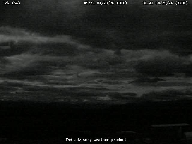 Tok — SouthWest live camera view