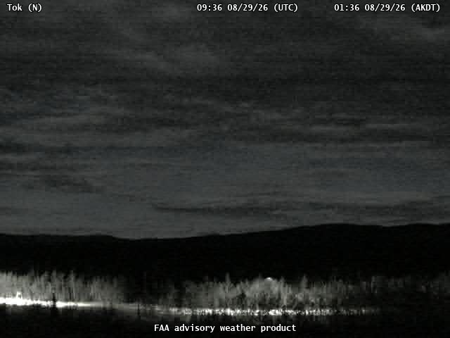 Tok — North live camera view