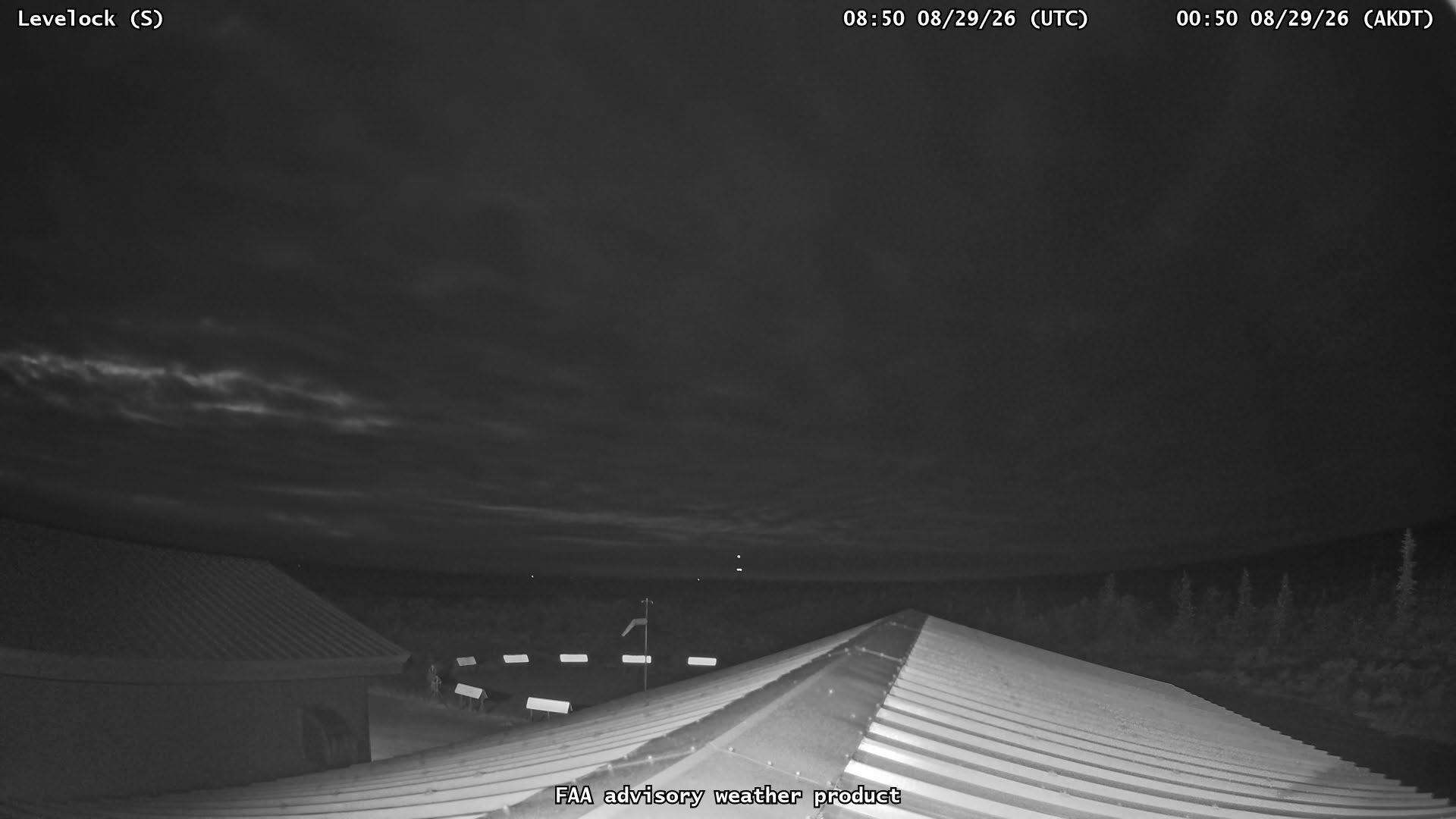 Levelock — South live camera view
