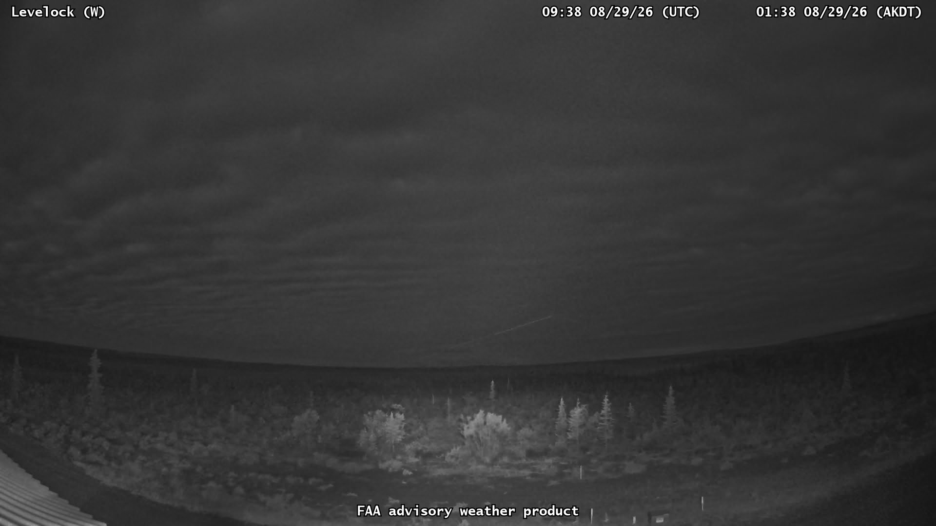 Levelock — West live camera view