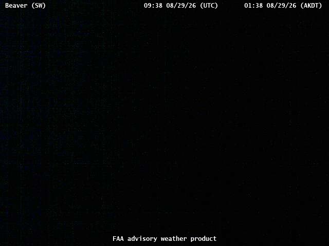 Beaver — SouthWest live camera view