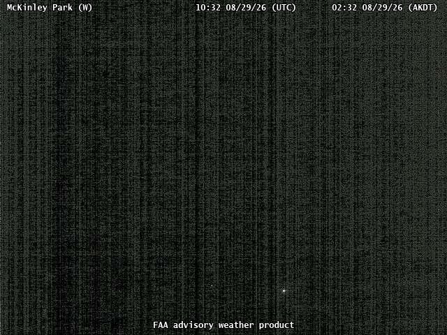 McKinley Park — West live camera view