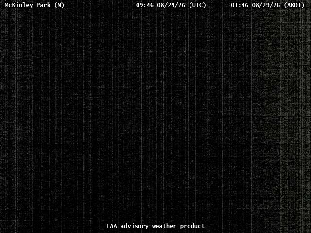 McKinley Park — North live camera view