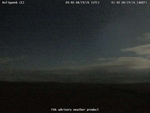 Koliganek — East live camera view