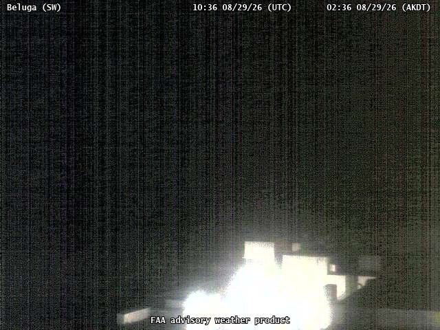 Beluga — SouthWest live camera view