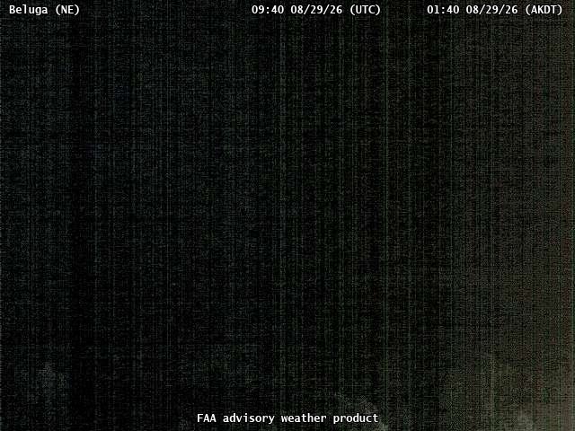 Beluga — NorthEast live camera view