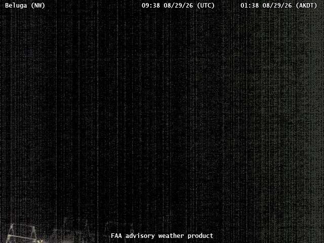Beluga — NorthWest live camera view