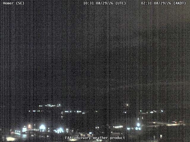 Homer — SouthEast live camera view