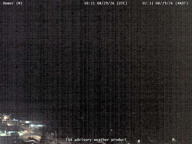 Homer — West live camera view