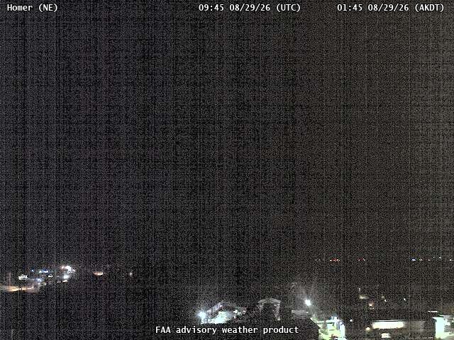 Homer — NorthEast live camera view
