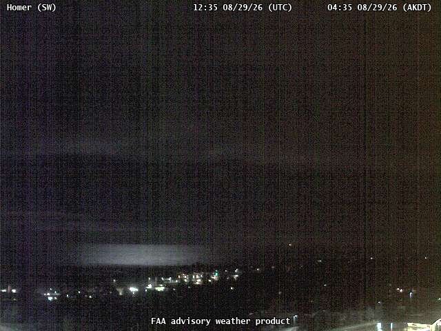 Homer — SouthWest live camera view