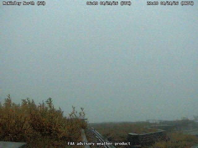 McKinley North — SouthEast live camera view