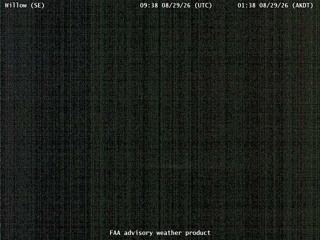 Willow — SouthEast live camera view