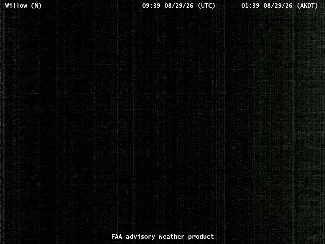 Willow — North live camera view