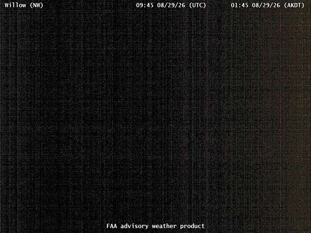 Willow — NorthWest live camera view