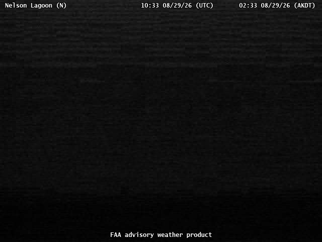 Nelson Lagoon — North live camera view