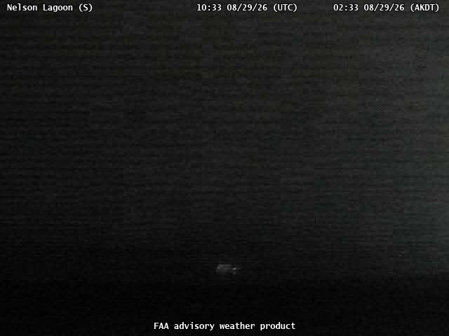 Nelson Lagoon — South live camera view