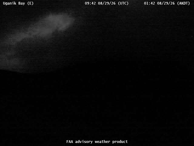 Uganik Bay — East live camera view