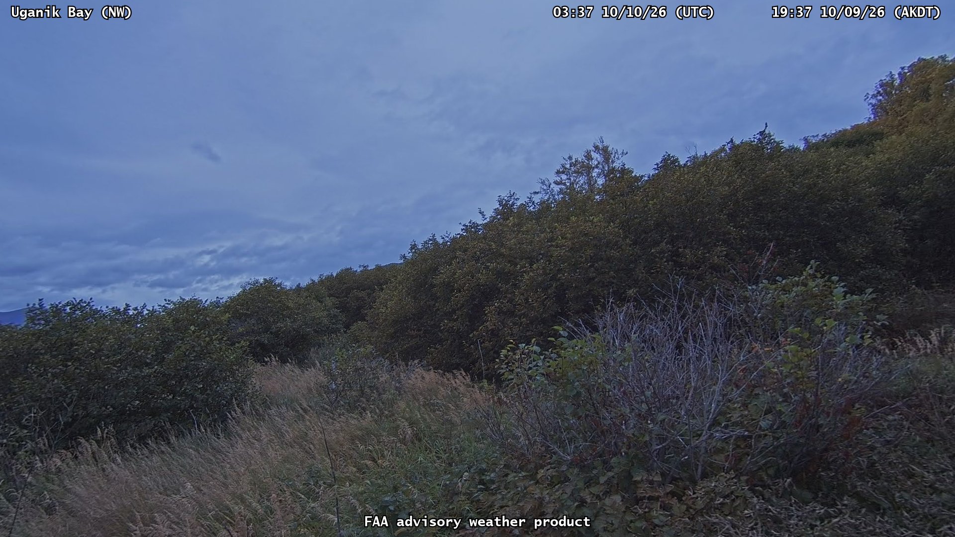 Uganik Bay — NorthWest live camera view