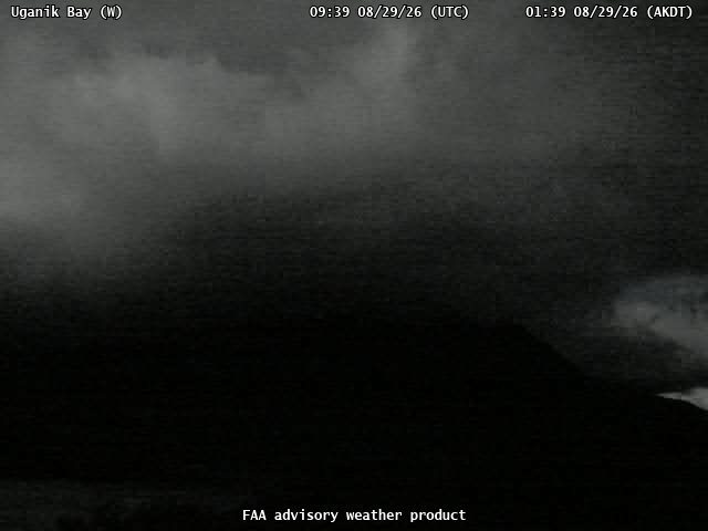 Uganik Bay — West live camera view