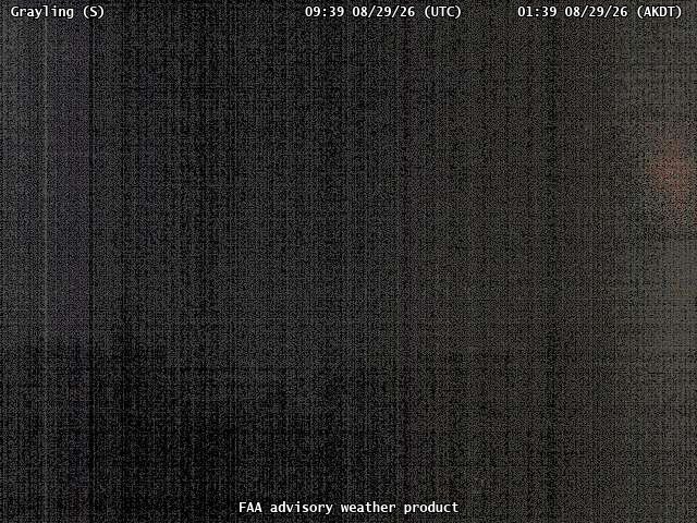 Grayling — South live camera view