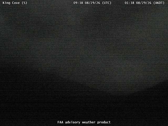 King Cove — South live camera view